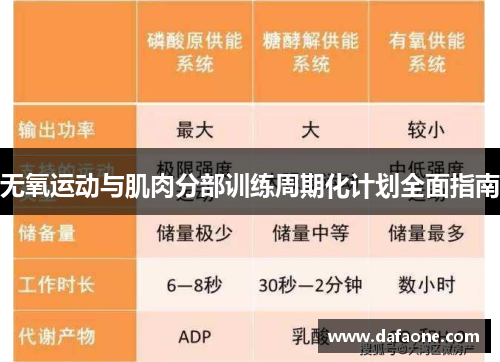 无氧运动与肌肉分部训练周期化计划全面指南