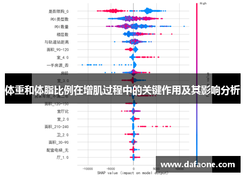 体重和体脂比例在增肌过程中的关键作用及其影响分析